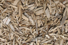 biomass boilers Forteviot